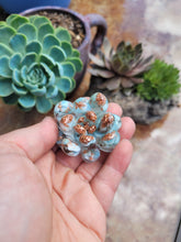 Load image into Gallery viewer, CUSTOM small succulent orgonite
