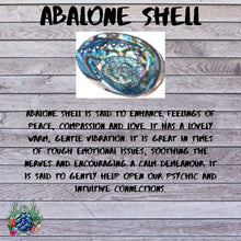 Load image into Gallery viewer, Abalone shell troll scene magnet
